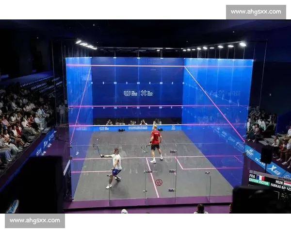 世运蓉城新亮点:壁球入门全解析,教你玩转奥运新宠! 世运蓉城新亮点:壁球入门全解析,教你玩转奥运新宠!